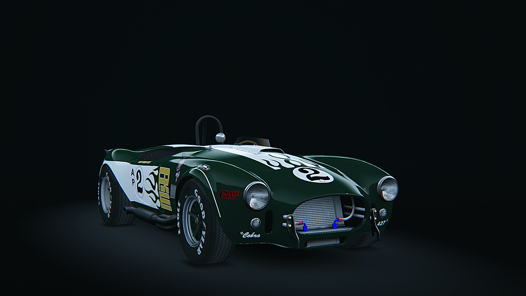 AC 289 Competition, skin 1973_feinstein_racing