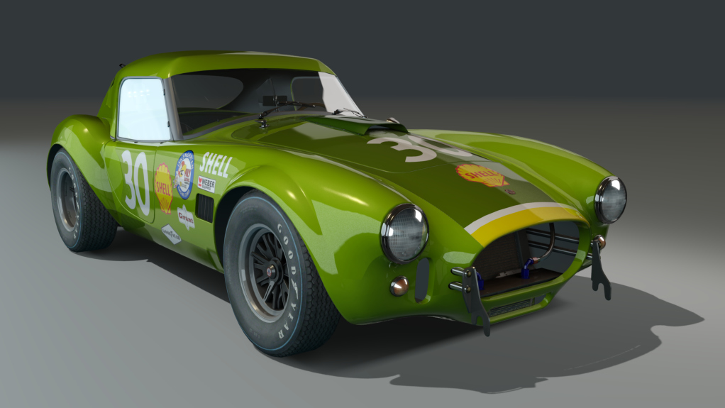 ACL GTC Shelby Cobra 289 Hardtop, skin 30_green