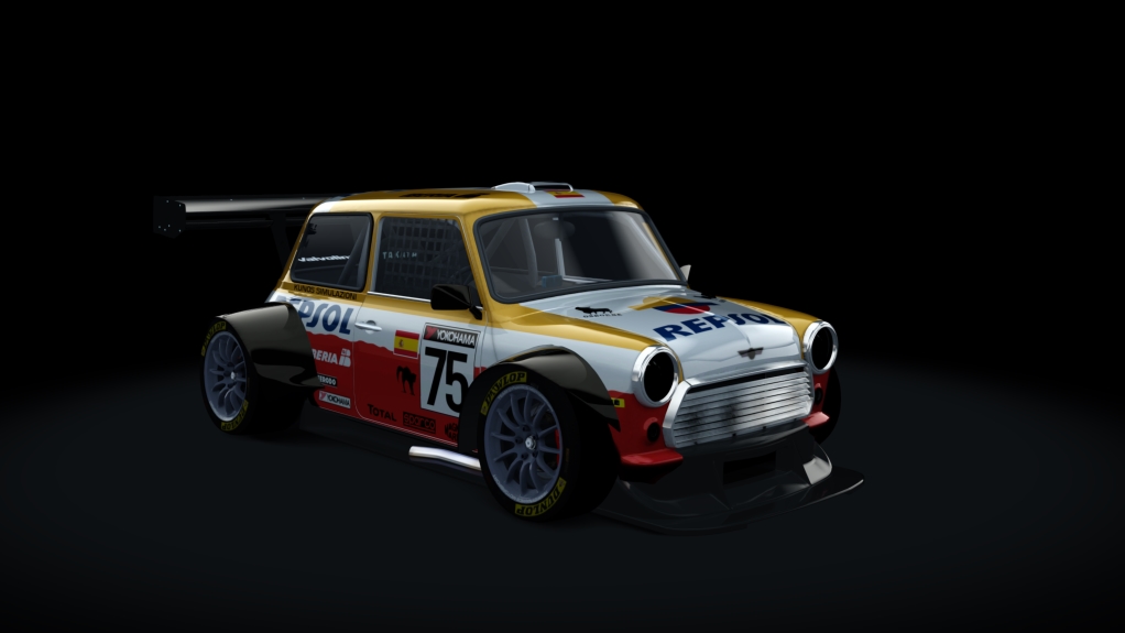 Car Skin